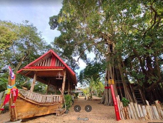 ไทรโอบรัก รุกขแห่งศรัทธา บ้านหัวหิน