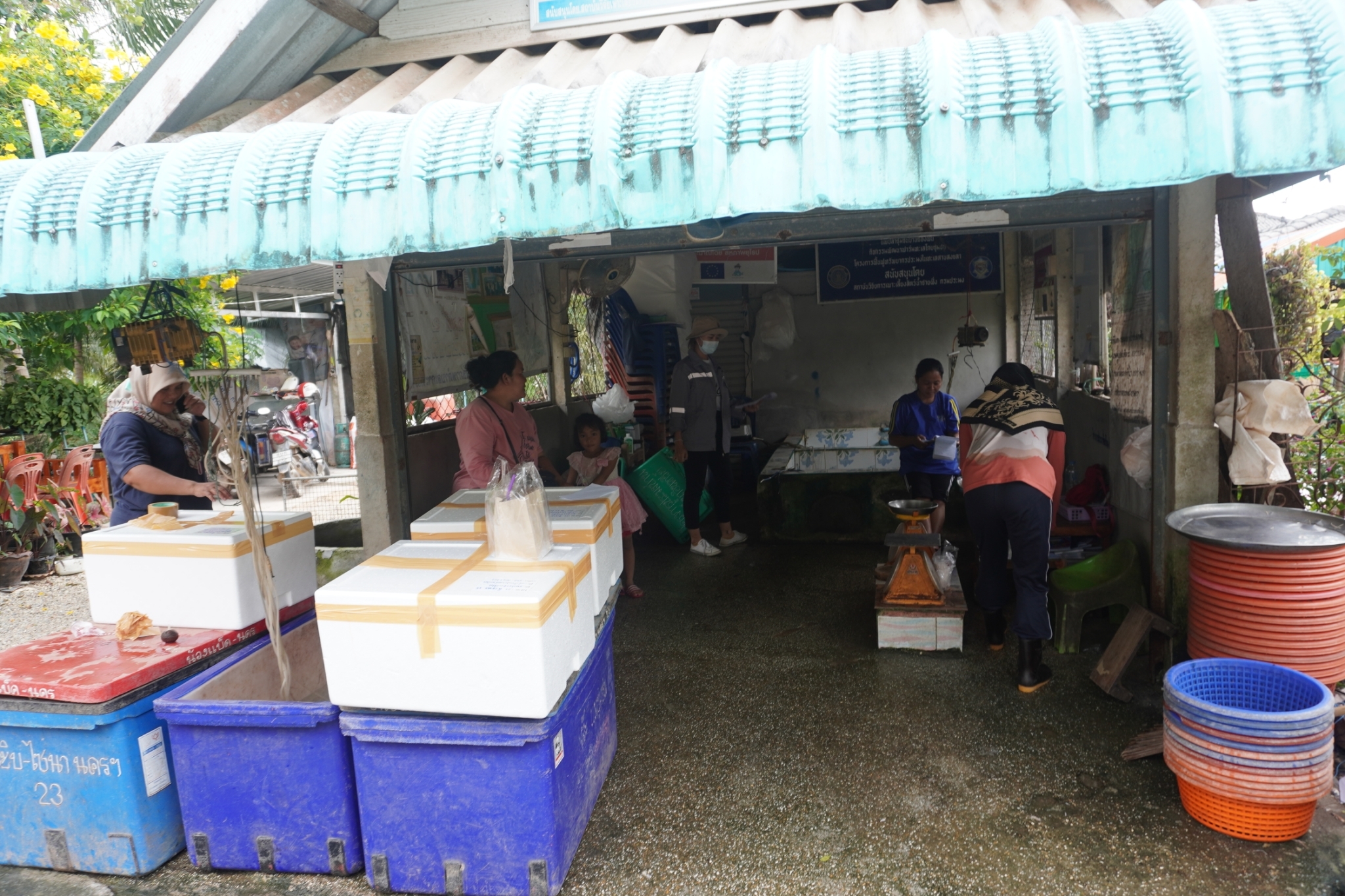 แพปลาชุมชนบ้านช่องฟืน